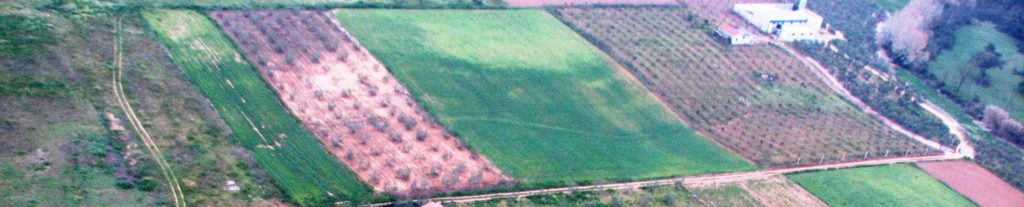 Imagen PROYECTO DE ORDEN: ACTUACIONES APLICABLES EN LAS ZONAS VULNERABLES