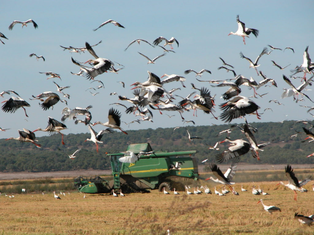 Imagen SEGUROS GENERALES