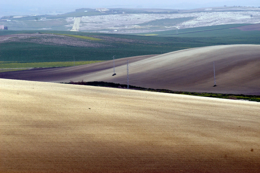 Imagen EL MINISTERIO DE AGRICULTURA MODIFICA EL PLAZO DE COMUNICACIÓN DE CESIONES DE DERECHOS DE AYUDAS
