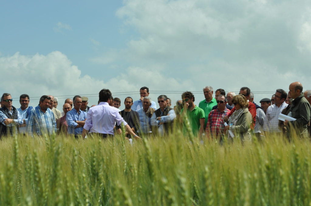 Imagen Gran convocatoria de las ‘Jornadas Cerealistas’ de Asaja