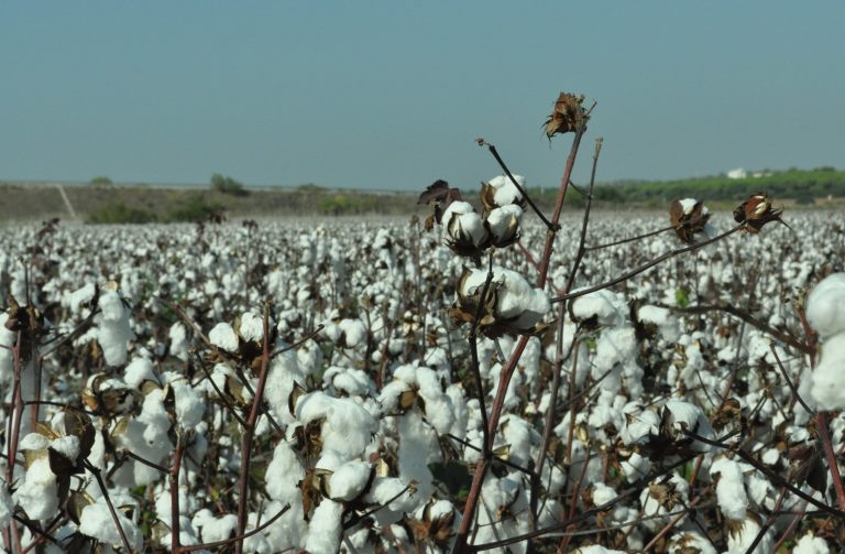 AGRICULTURA