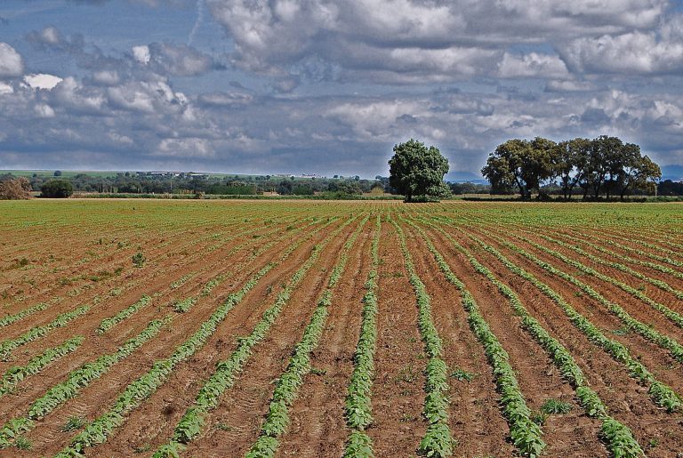 SUBVENCIONES A LAS EXPLOTACIONES AGRARIAS DE TITULARIDAD COMPARTIDA