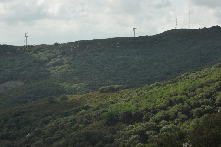 INSTRUCCIONES ORDENACIÓN DE MONTES: INFORMACIÓN PÚBLICA