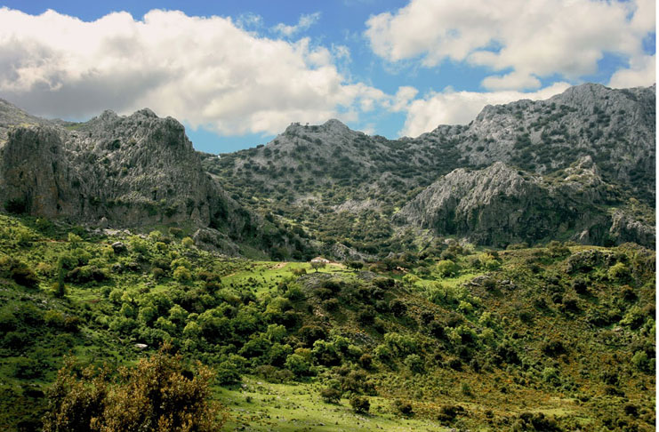 PROPUESTA II PLAN DESARROLLO SOSTENIBLE PARQUES NATURALES: INFORMACIÓN PÚBLICA