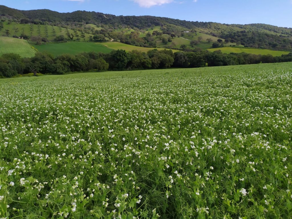 Imagen CONVOCATORIA PROGRAMA REINDUS