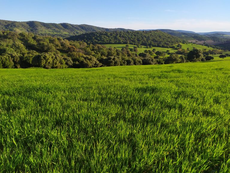AGRICULTURA