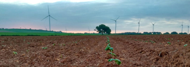 AMPLIACIÓN PLAZO AYUDAS AGROINDUSTRIA (SUBMEDIDA 4.2)