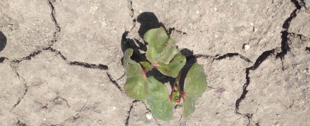 Imagen EVENTOS Y NOTICIAS