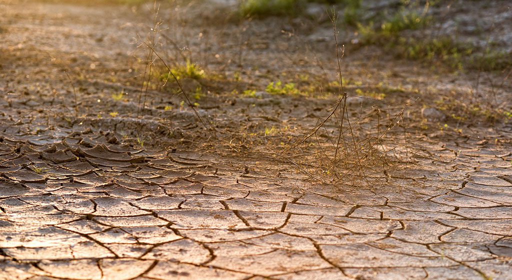 Imagen NUEVAS MEDIDAS PARA AFRONTAR CONSECUENCIAS DE LOS CONFLICTOS EN UCRANIA Y ORIENTE PRÓXIMO Y PALIAR LOS EFECTOS DE LA SEQUÍA