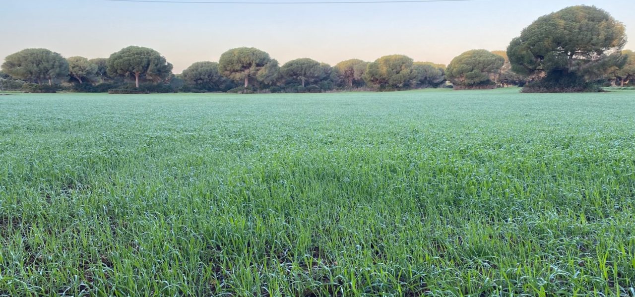 Imagen AGRICULTURA