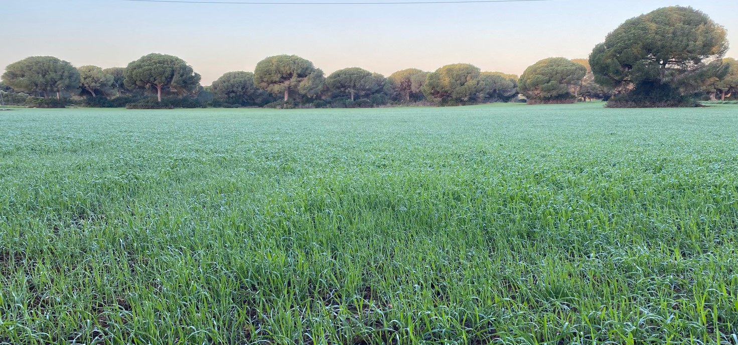 Imagen AGRICULTURA