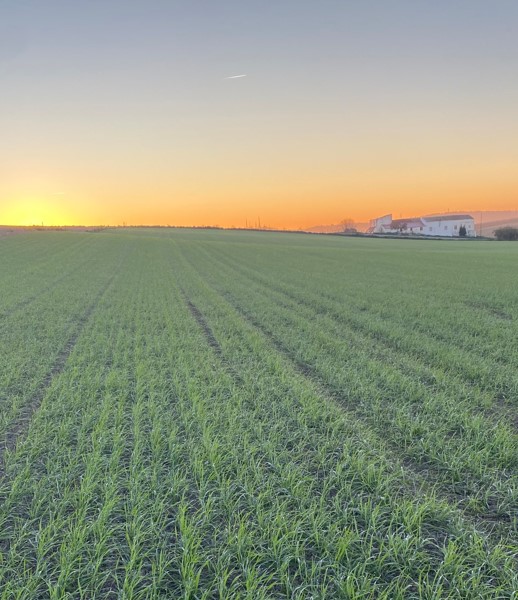 AYUDAS A LA SUSCRIPCIÓN DE SEGUROS AGRARIOS PARA 2025