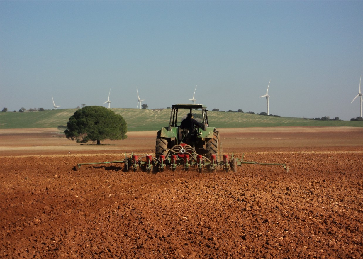 Imagen AYUDAS PARA LA COMPRA DE FERTILIZANTES Y GASÓLEO AGRÍCOLA