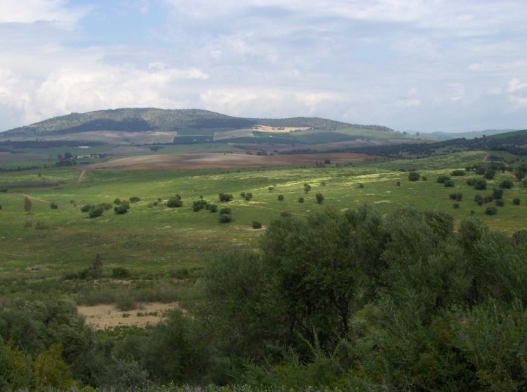 AMPLIACIÓN DE LA CONVOCATORIA DE LA OFERTA PÚBLICA DE CAZA PARA LA TEMPORADA 2025-2026