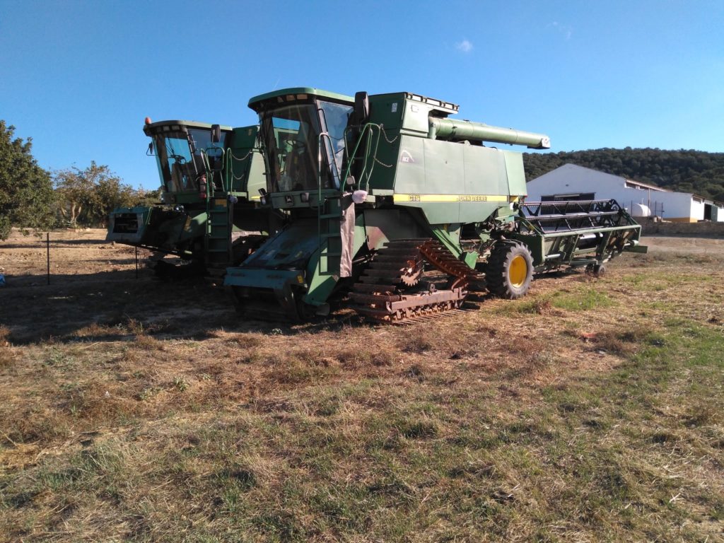 Imagen PRÁCTICAS RECOMENDADAS, PROHIBIDAS, OBLIGATORIAS EN PRODUCCIÓN INTEGRADA