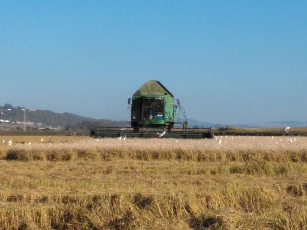 Imagen REPORTAJE FOTOGRÁFICO PARCELAS