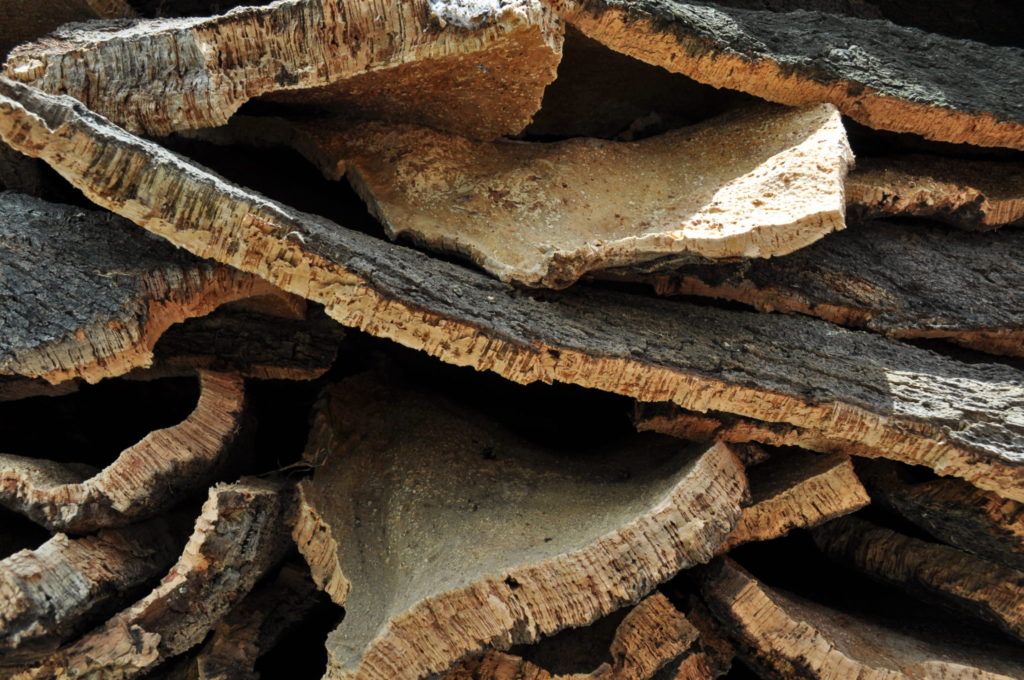 Imagen PARQUE NATURAL DE LOS ALCORNOCALES