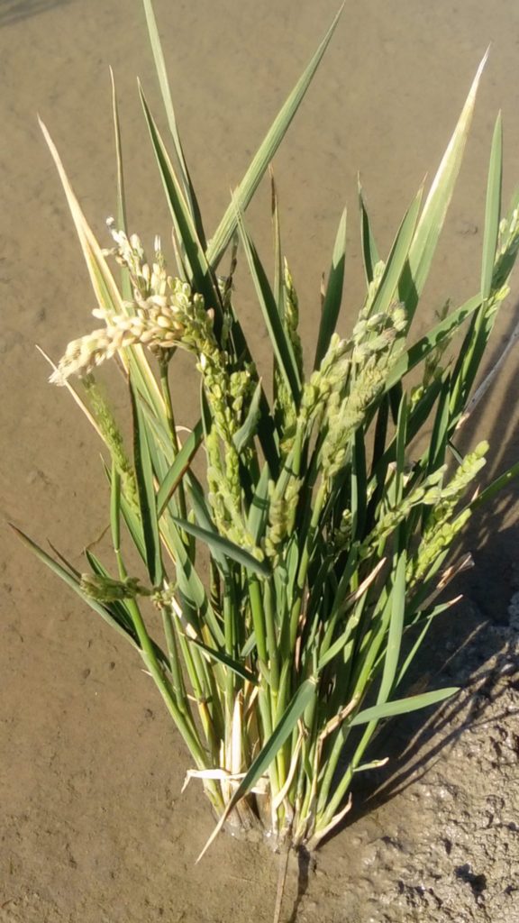 Imagen REPORTAJE FOTOGRÁFICO