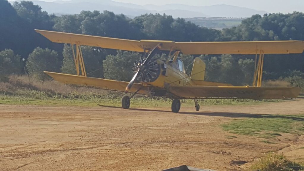 Imagen PRÁCTICAS RECOMENDADAS, PROHIBIDAS, OBLIGATORIAS EN P.I.