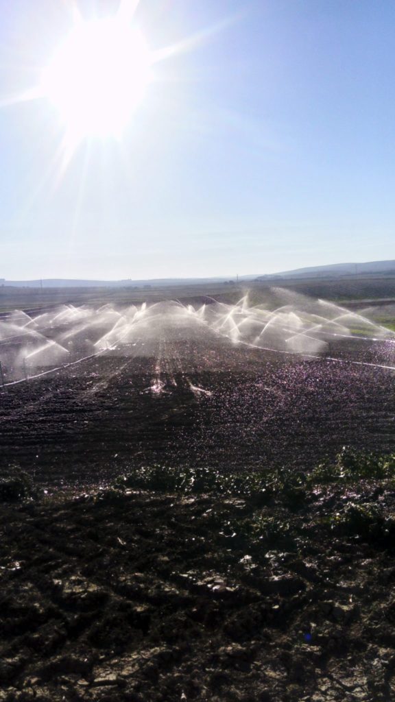 Imagen CALENDARIO ENERGÉTICO 2018