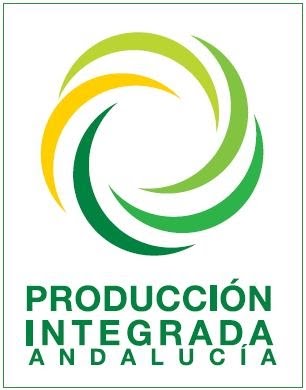 PRÁCTICAS RECOMENDADAS, PROHIBIDAS, OBLIGATORIAS EN PI