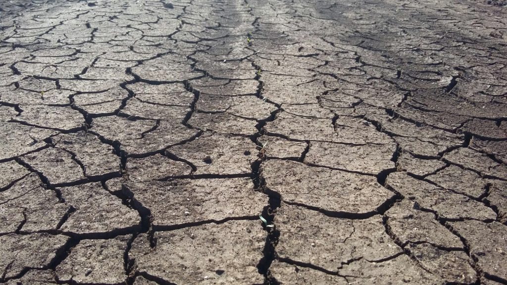 Imagen REPORTAJE FOTOGRÁFICO PARCELAS