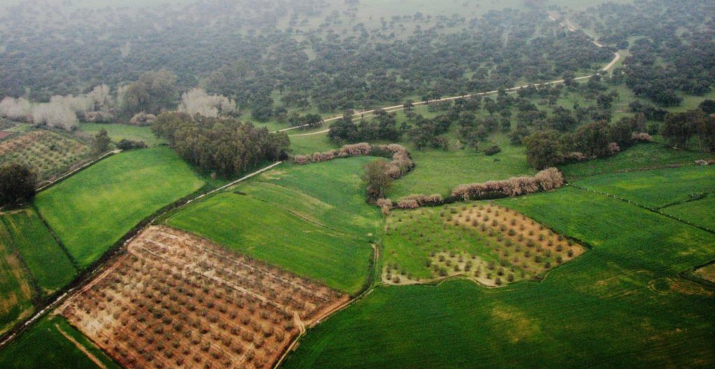 Imagen AYUDAS GRUPOS DE DESARROLLO RURAL (GDR)