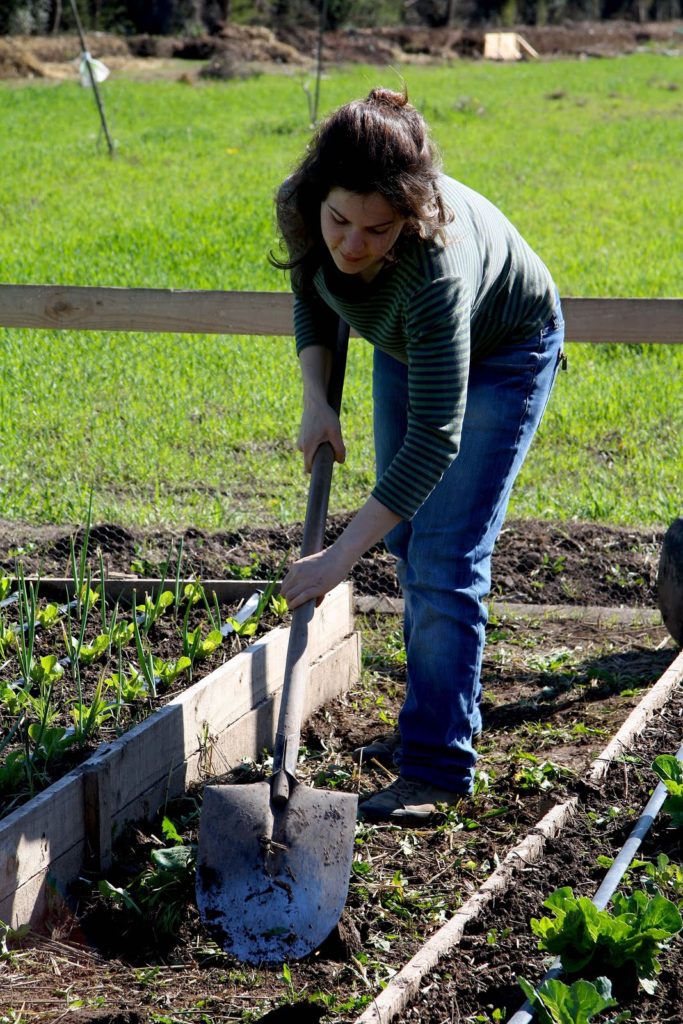 Imagen REFORMAS DEL TRABAJO AUTÓNOMO