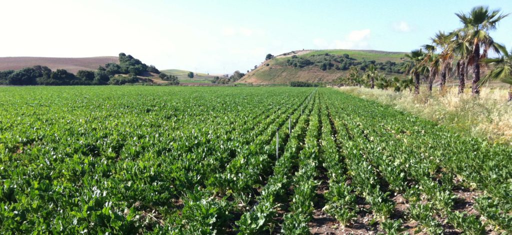 Imagen FERTILIZANTES