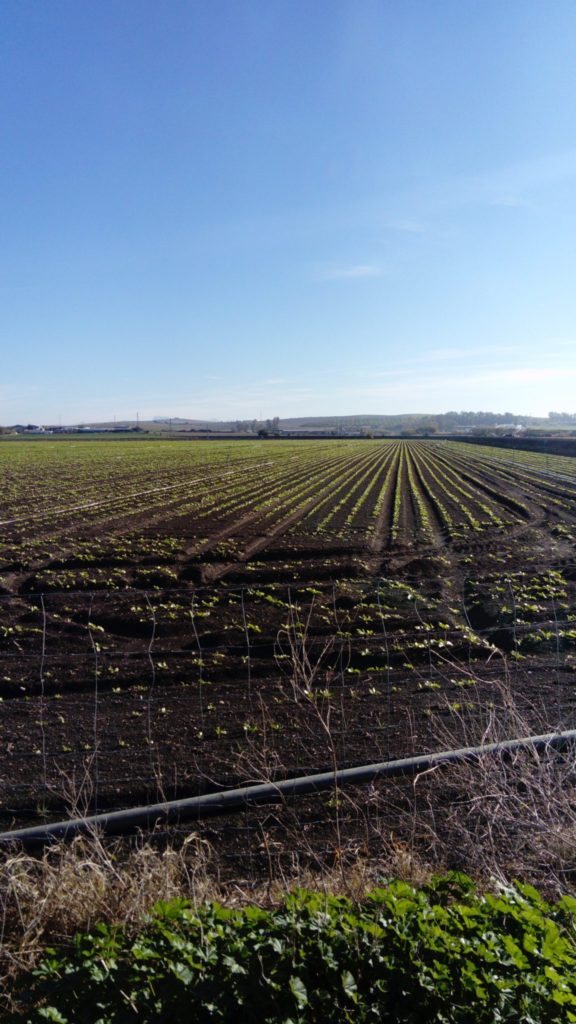 Imagen REPORTAJE FOTOGRÁFICO