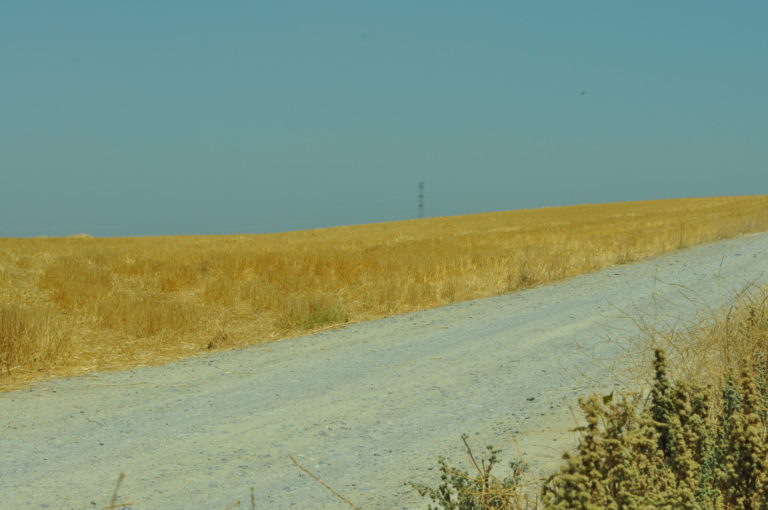 MODIFICACIÓN BASES REGULADORAS: AYUDA A LA MEJORA DE CAMINOS RURALES