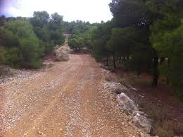 MEJORA DE CAMINOS RURALES