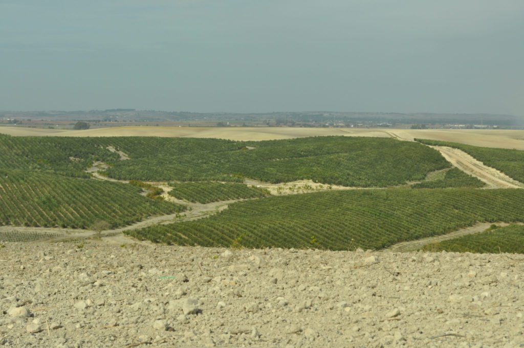 Imagen AYUDAS AGROINDUSTRIA