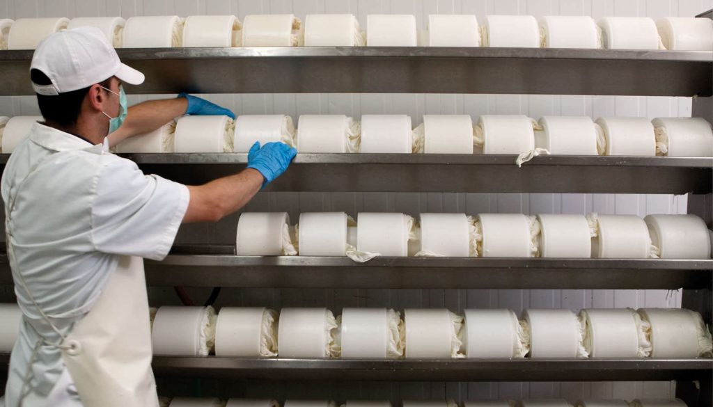 Imagen AYUDAS  PARA EL APOYO DE INVERSIONES MATERIALES O INMATERIALES EN TRANSFORMACIÓN, COMERCIALIZACIÓN  O DESARROLLO RURAL DE ANDALUCÍA