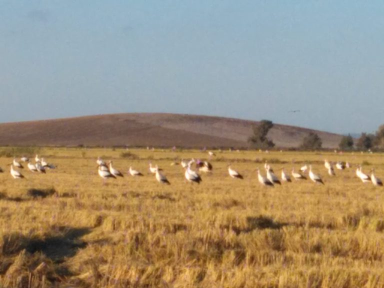 RECORDATORIO: JORNADAS DE FORMACIÓN DE AGROAMBIENTALES