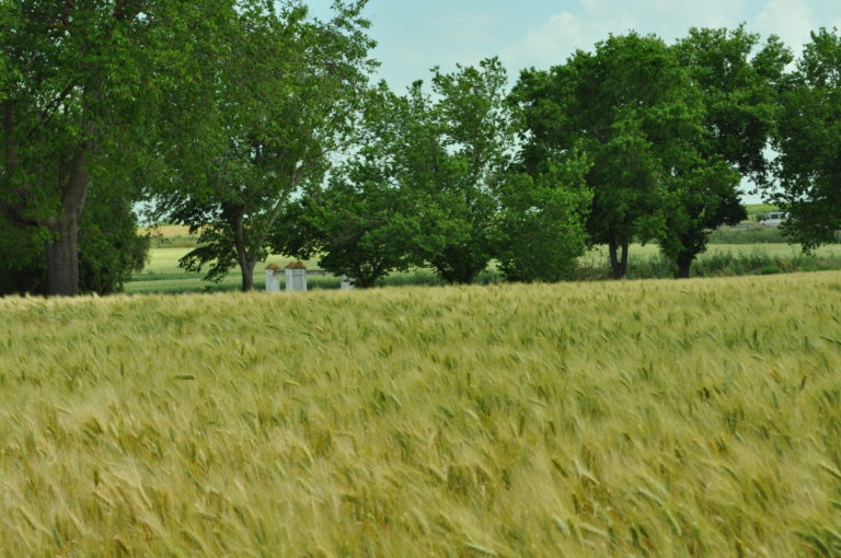 Asaja-Cádiz felicita a la Consejería de Agricultura por el buen desarrollo de la campaña PAC