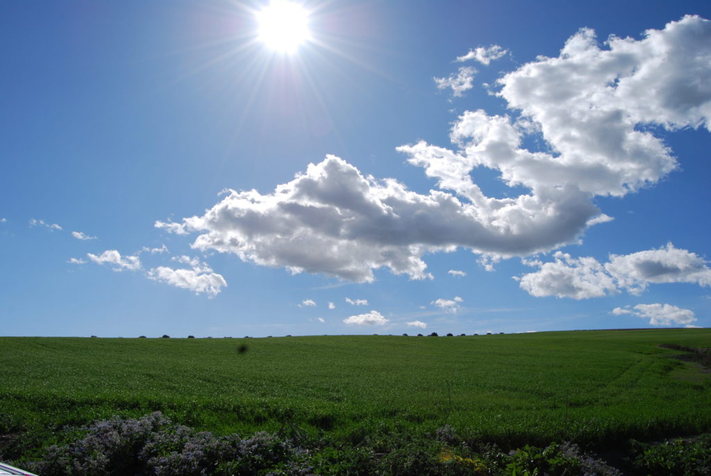 Imagen PAC 2018: REGÍMENES DE AYUDA INCLUIDAS EN LA SOLICITUD ÚNICA