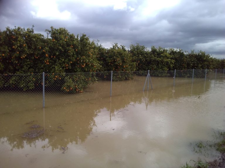 Preocupación en el campo por la coincidencia de las lluvias con el desembalse de Bornos