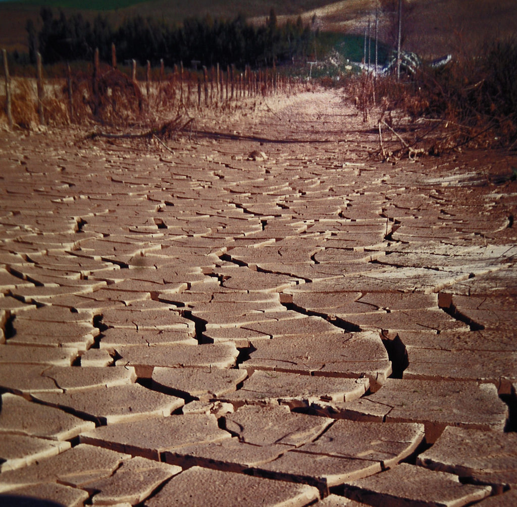 Imagen SEQUÍA: MEDIDAS URGENTES