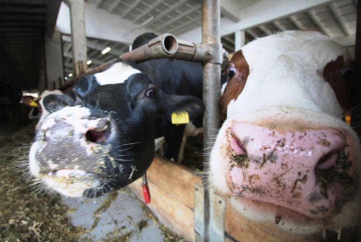 CONTRATO TIPO DE SUMINISTRO DE LECHE CRUDA DE VACA