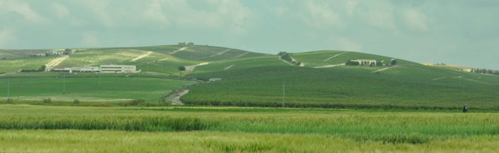 Imagen PUBLICADA NUEVA CAPA SIGPAC NACIONAL CON CULTIVOS REITERADOS