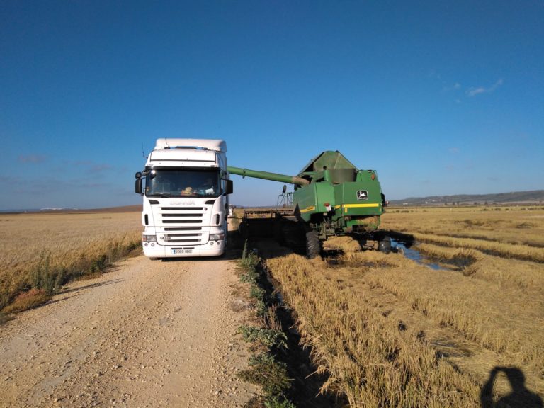 LEY DE CAMINOS PÚBLICOS RURALES DE ANDALUCÍA