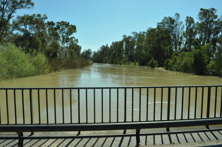 MAPAS DE PELIGROSIDAD Y DE RIESGO DE INUNDACIÓN DE LA DEMARCACIÓN HIDROGRÁFICA GUADALETE Y BARBATE: CONSULTA PÚBLICA