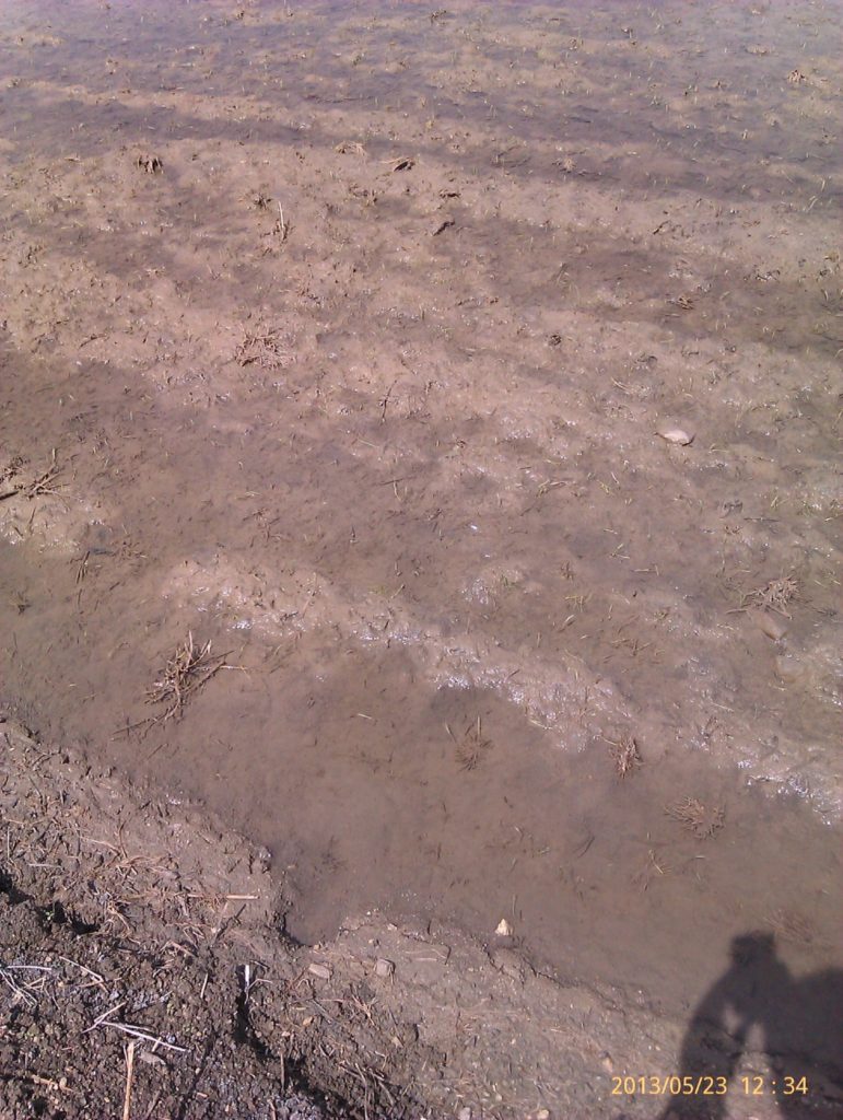 Imagen REPORTAJE FOTOGRÁFICO PARCELAS