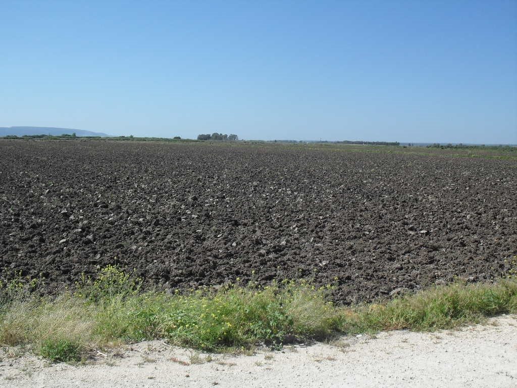 Imagen PRÁCTICAS RECOMENDADAS, PROHIBIDAS, OBLIGATORIAS EN PRODUCCION INTEGRADA