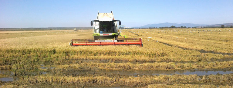 MAQUINARIA AGRÍCOLA Y FERTILIZANTES