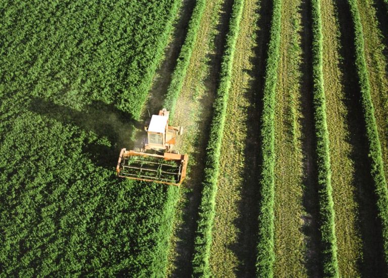 ÍNDICE DE PRECIOS PERCIBIDOS POR LOS AGRICULTORES Y GANADEROS EN LA CAMPAÑA 2017