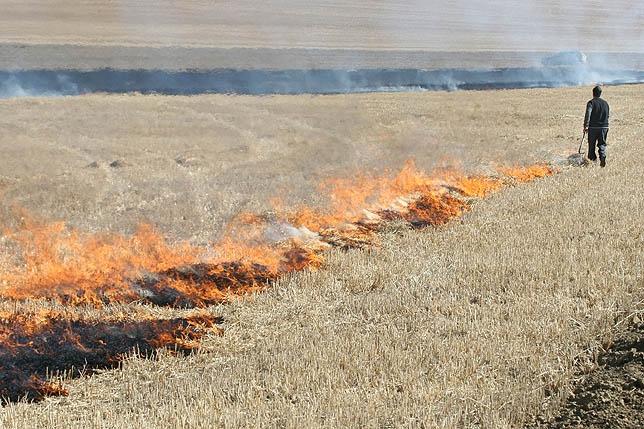 QUEMA DE RESTOS DE COSECHA DE GIRASOL