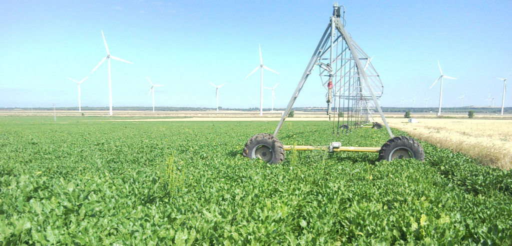 Imagen AYUDAS A LA MEJORA DE REGADÍOS