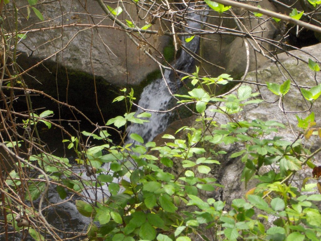 Imagen NUEVOS HUMEDALES DE ANDALUCÍA